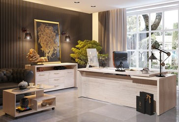 Кабинет руководителя TORR Z