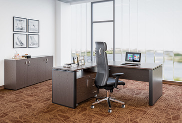 Кабинет руководителя Exe