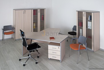 Кабинет руководителя Practic Direct