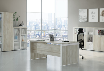 Кабинет руководителя TESS