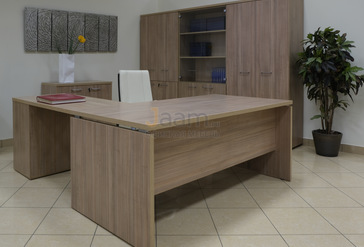 Кабинет руководителя Патриот